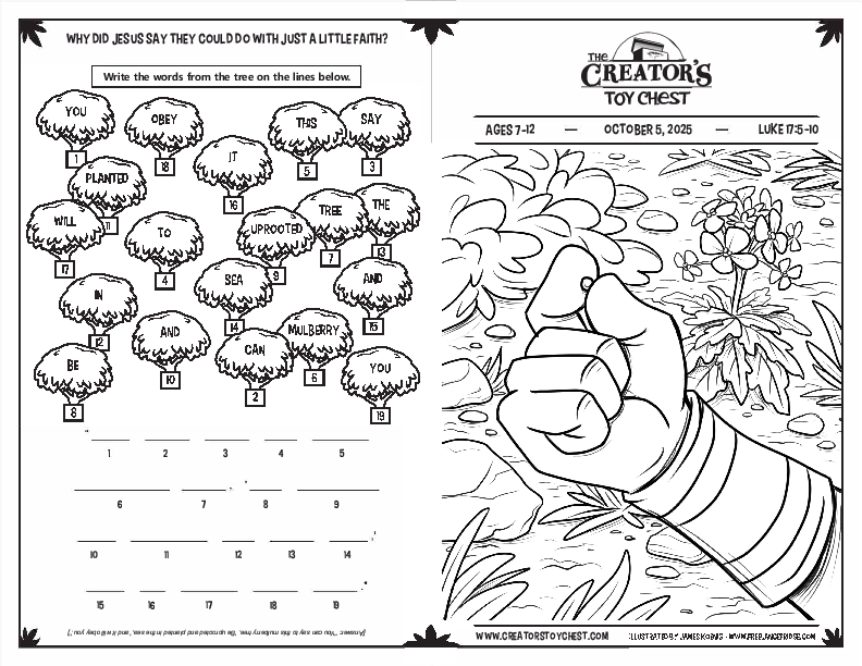 CreatorsToyChest_Ages7-12GBulletin_2025_10_05.pdf