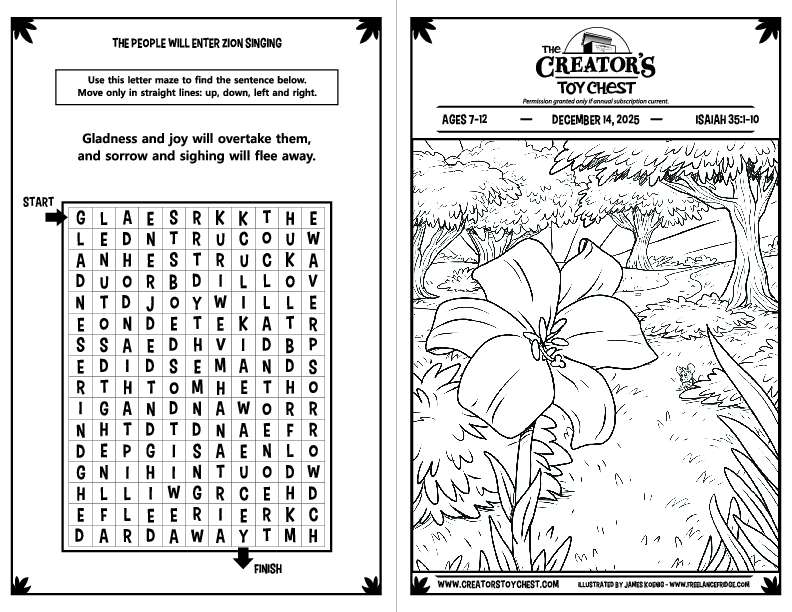 CreatorsToyChest_Ages7-12OTBulletin_2025_12_14.pdf